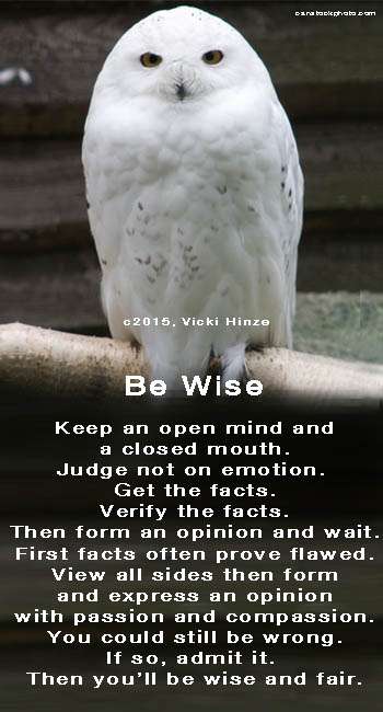 Be Wise, Vicki Hinze