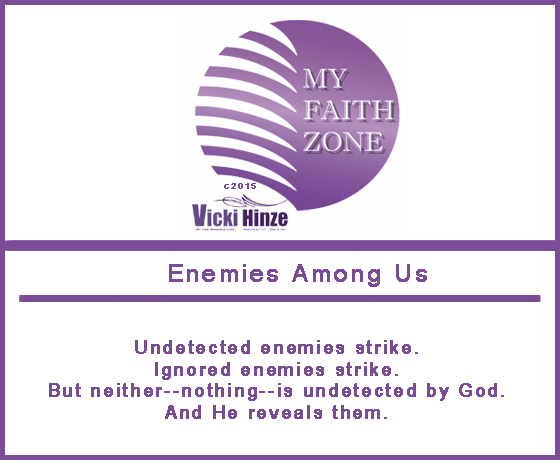 Vicki Hinze, Enemies Among Us, My Faith Zone Notes
