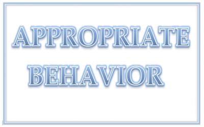 Appropriate Behavior