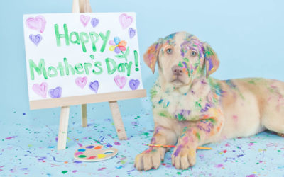 Happy Mother’s Day!