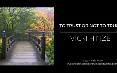 To Trust or Not to Trust