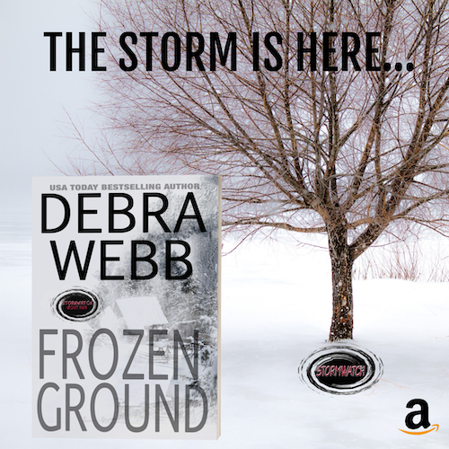 Debra Webb, Vicki Hinze, Stormwatch series