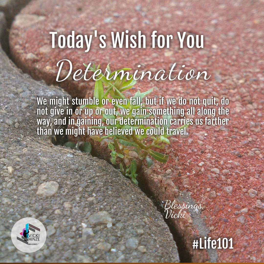 Determination, wishes, vicki hinze