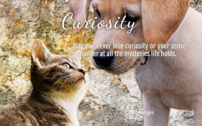 Morning Wishes 2021–January 28