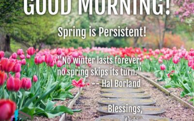 Good Morning:  Spring is Persistent