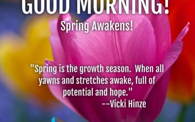 Good Morning: Spring Awakens!
