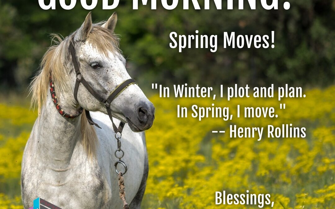 Good Morning:  Spring Moves!