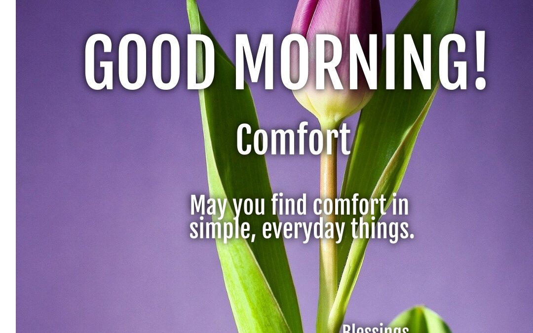 Morning Wish:  Comfort