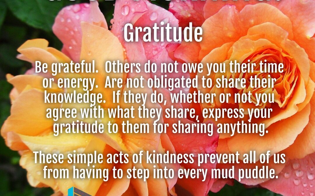 Morning Wishes:  Gratitude