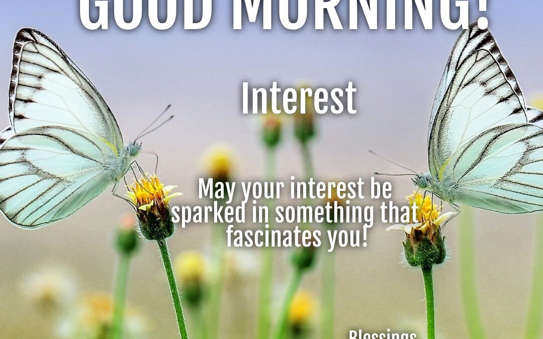 Morning Wish:  Interest