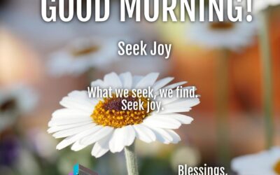 Morning Wishes:  Seek Joy