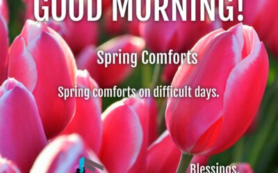 Good Morning:  Spring Comforts