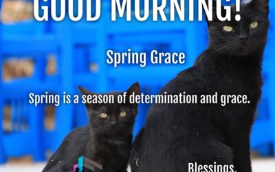Good Morning: Spring Grace
