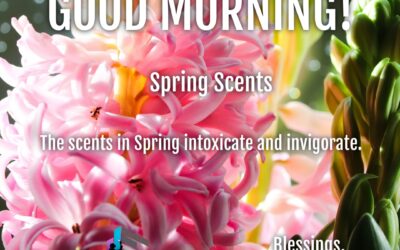 Good Morning:  Spring Scents
