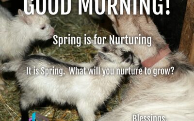 Good Morning: Spring is for Nurturing
