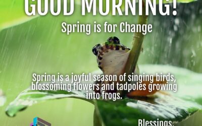Good Morning: Spring is for Change