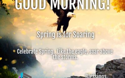 Good Morning: Spring is for Soaring