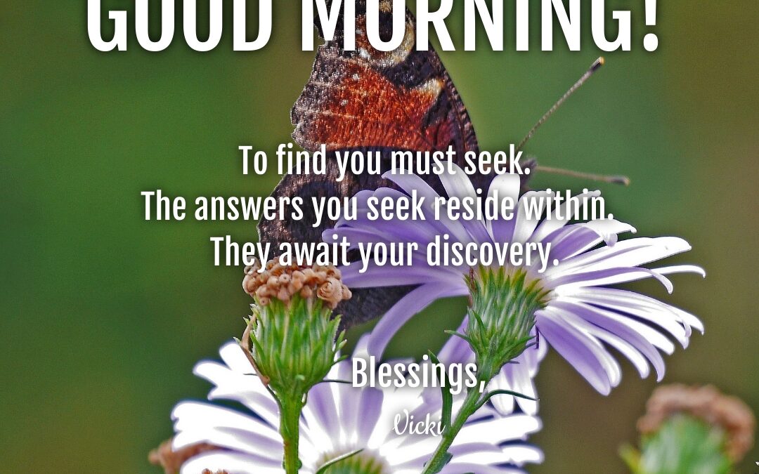 Good Morning:  Seek