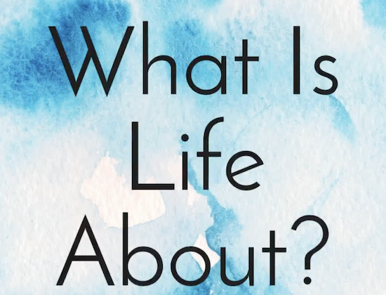 Thought for Today:  What is Life About?