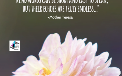 Penny Thoughts:  Create Endless Echoes